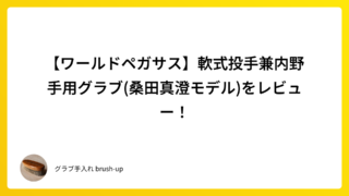 【ワールドペガサス】軟式投手兼内野手用グラブ(桑田真澄モデル)をレビュー!
