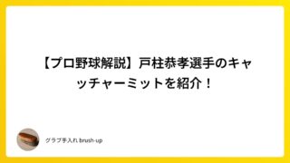 【プロ野球解説】戸柱恭孝選手のキャッチャーミットを紹介！